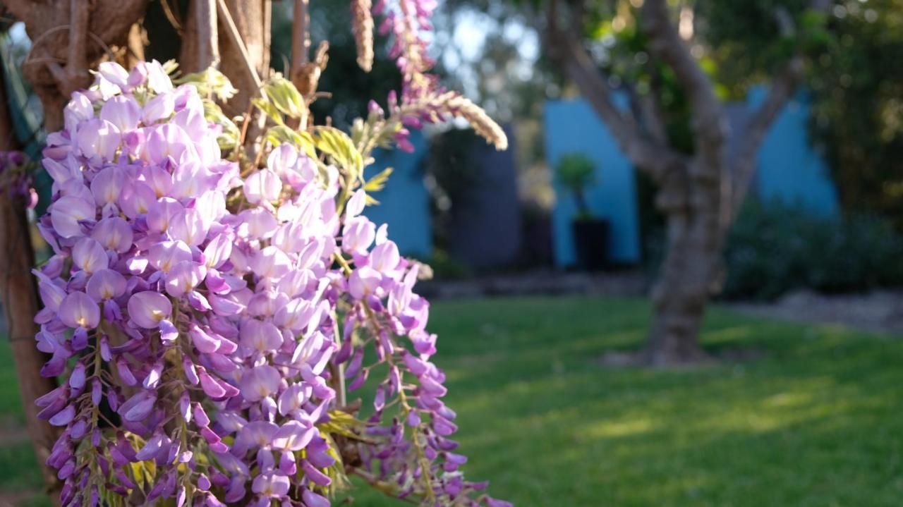Loddon River Motel Kerang Eksteriør bilde